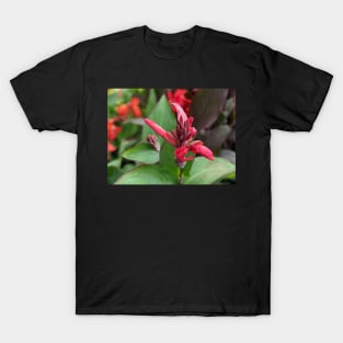 Pink Flower Blooming in Large Leaves T-Shirt